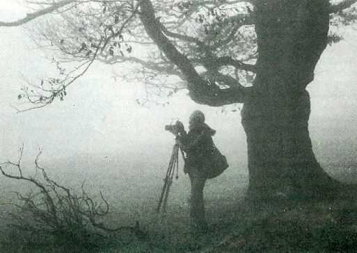 Nebelfotograf